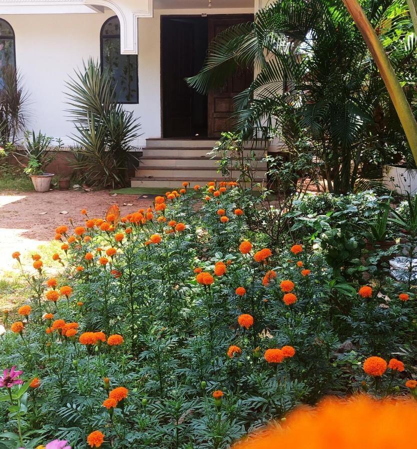 RiTAS Homestay Varkala Luaran gambar